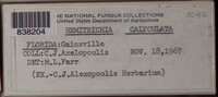 Image Associated With the Occurence